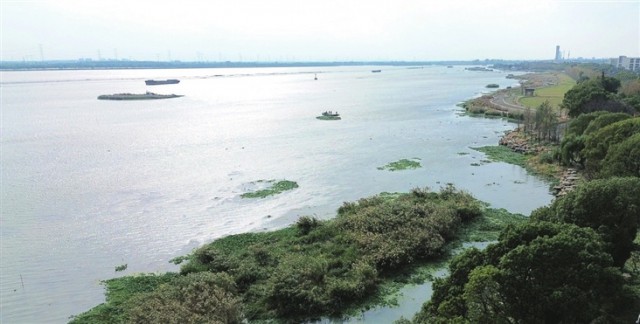 太浦河一河跨三地三地人共治一条河共画生态圈(图2) 太浦河一河跨三地三地人共治一条河共画生态圈(图2)