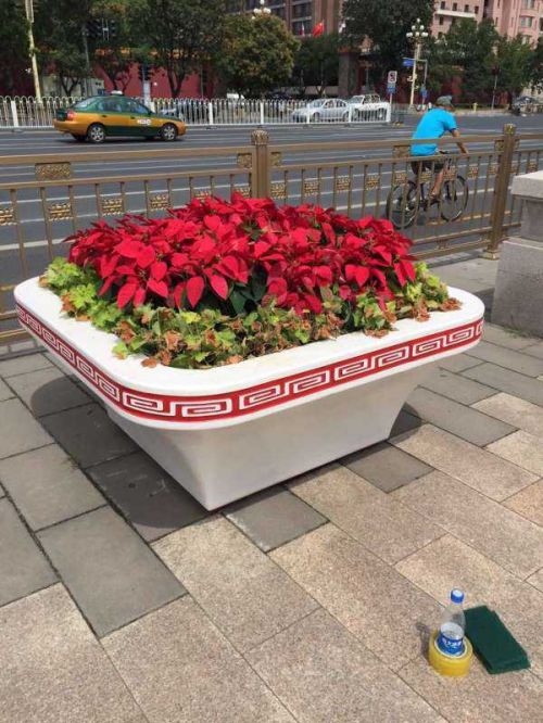 长泰企业产的花盆亮相长安街 相伴阅兵大道