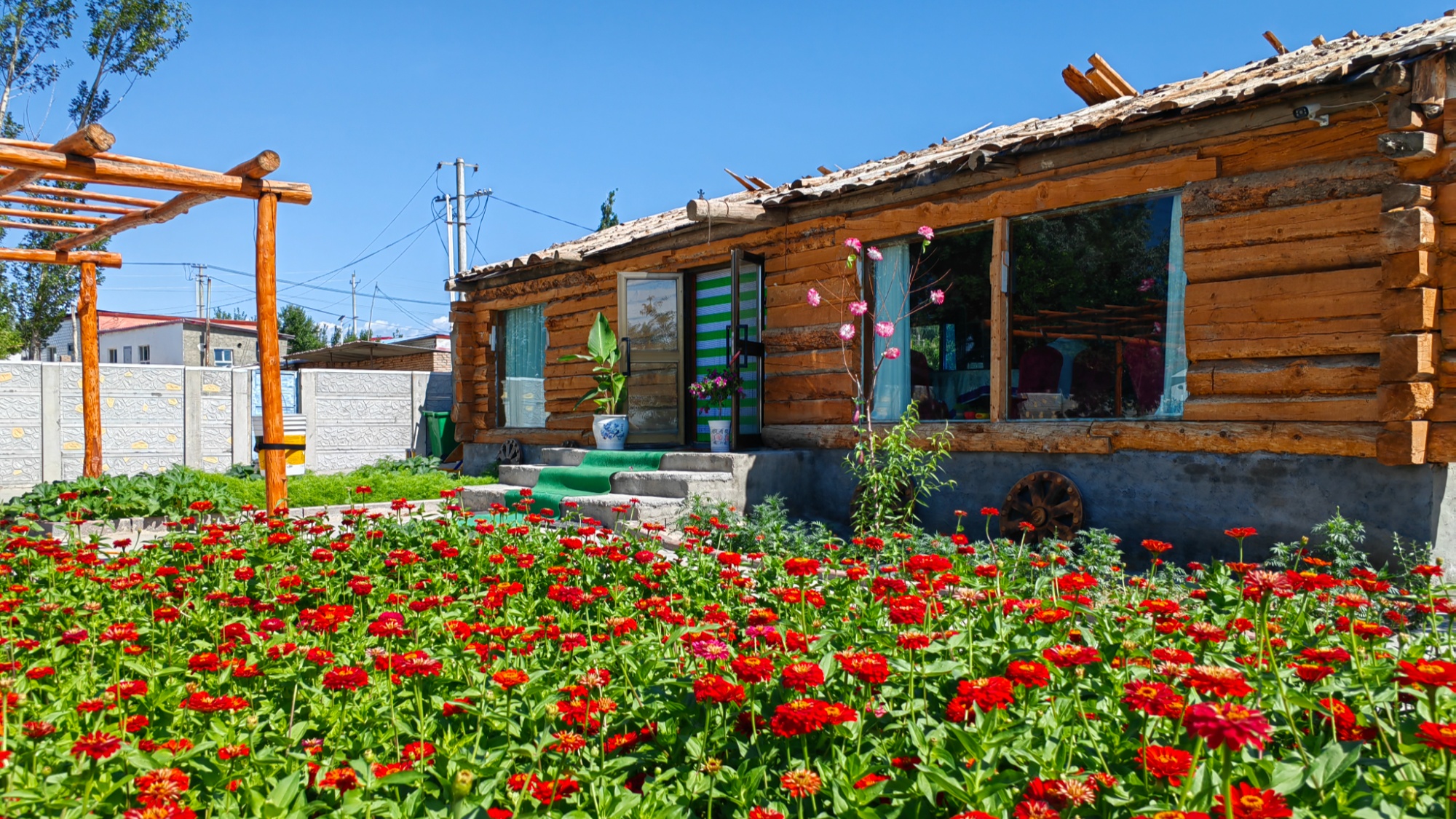 博乐：荒坡变花园 村庄变景区