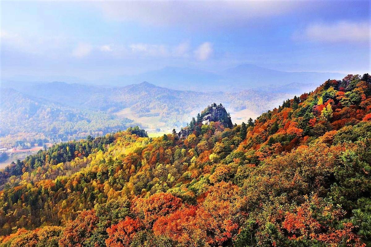 新质范儿“9”是这样!(图13) 新质范儿“9”是这样!(图13)