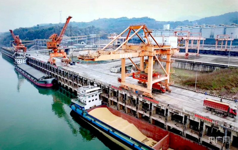 【实干·2024】“双城记”释放新质源头活水 “渝”跃起势美丽中国先行区(图4) 【实干·2024】“双城记”释放新质源头活水 “渝”跃起势美丽中国先行区(图4)