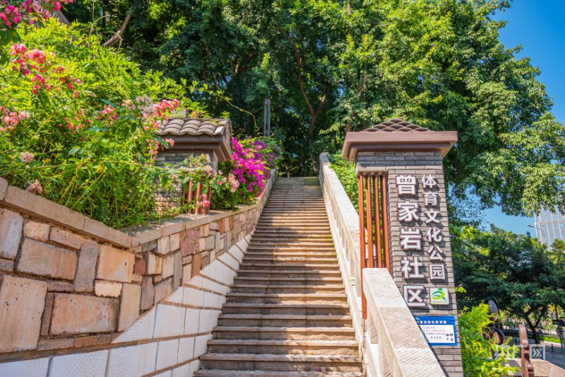 【实干·2024】“双城记”释放新质源头活水 “渝”跃起势美丽中国先行区(图11) 【实干·2024】“双城记”释放新质源头活水 “渝”跃起势美丽中国先行区(图11)