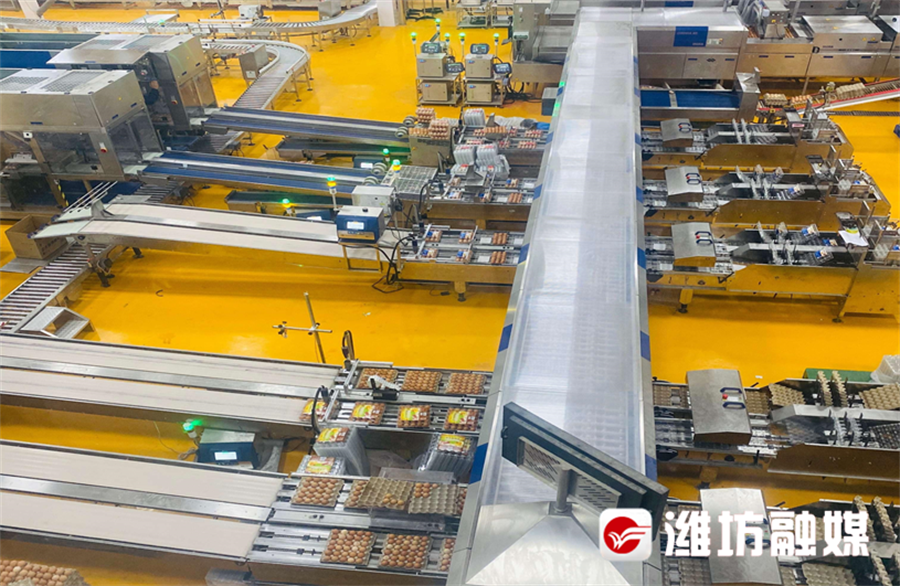 潍坊安丘：产业嬗变的逻辑起点(图4)